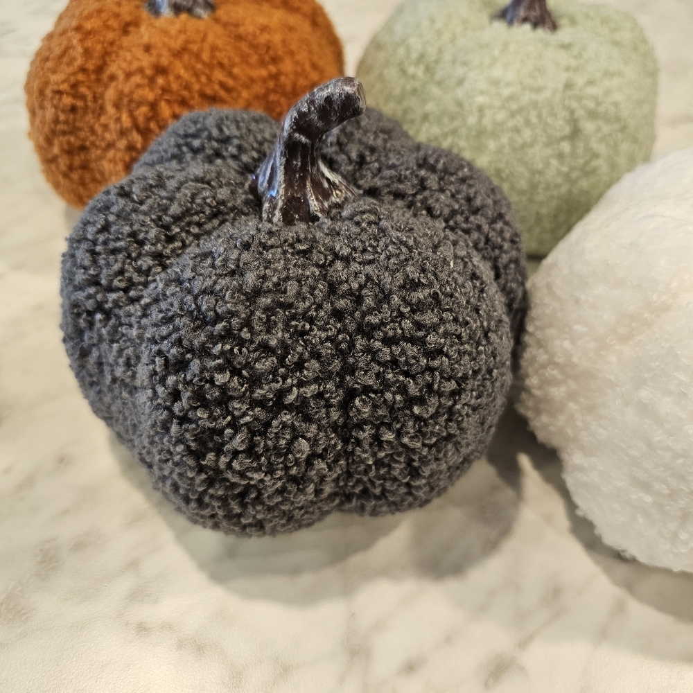 Sherpa Pumpkins Set of 4 Medium - Picture 10 of 13